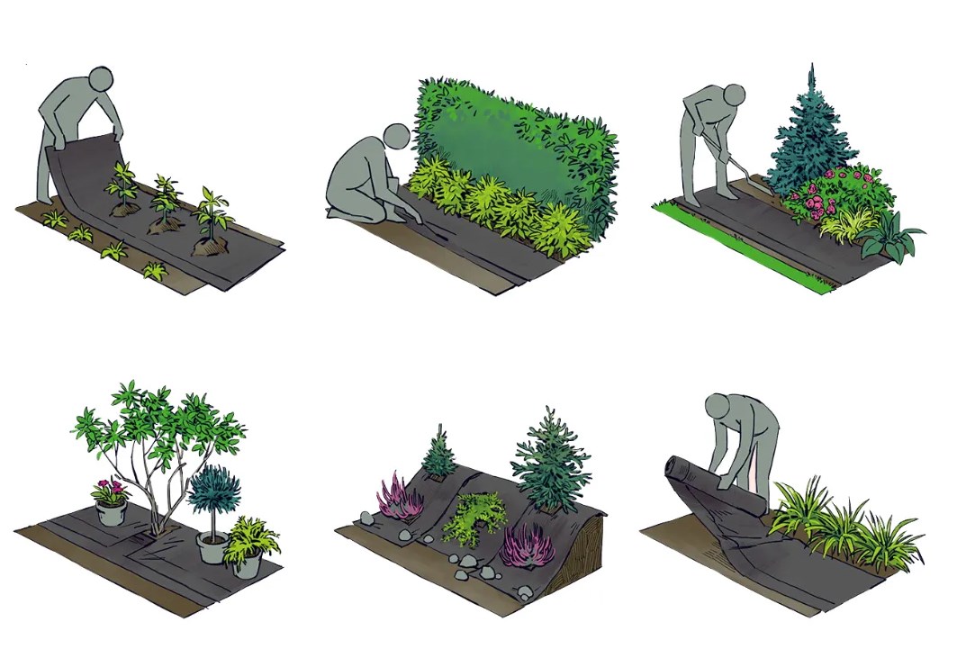 Agrowłóknina ściółkująca SHARK P-70 1,6x10 m czarna